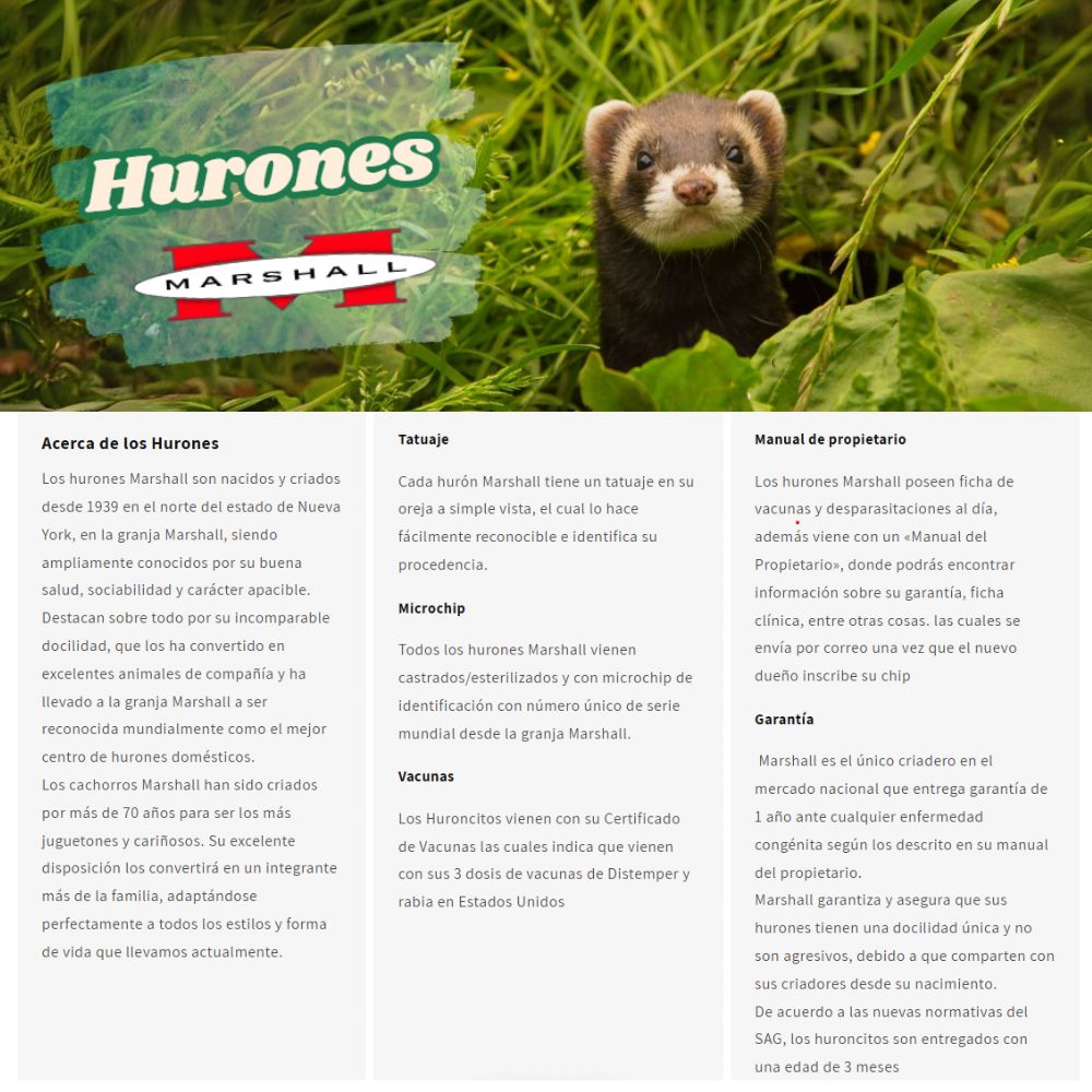 Huron marshall Macho(sólo retiro en tienda)