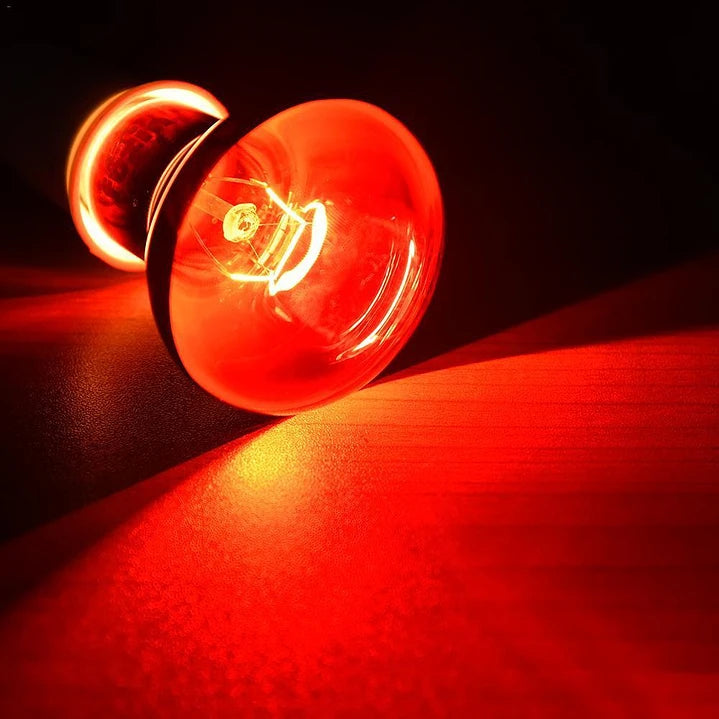 Exoterra Ampolleta Infrarroja 100 w