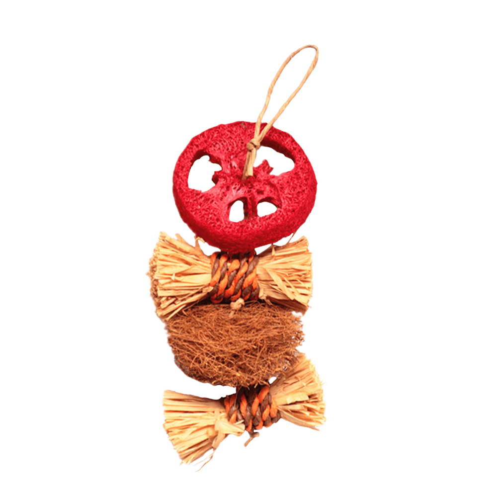 Juguete Colgante Loofah Rodaja 8"