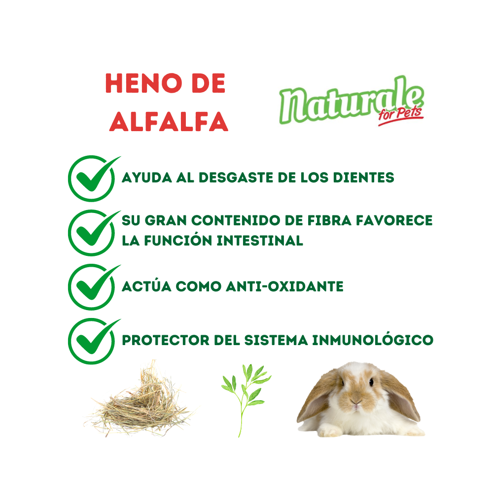 NFP Heno de Alfalfa Naturale 600g