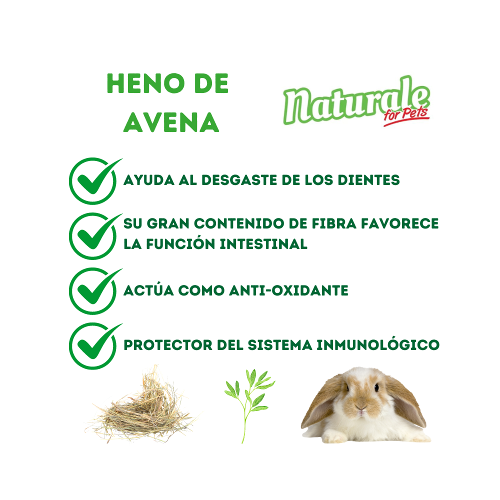 NFP Heno de Avena Naturale 600g