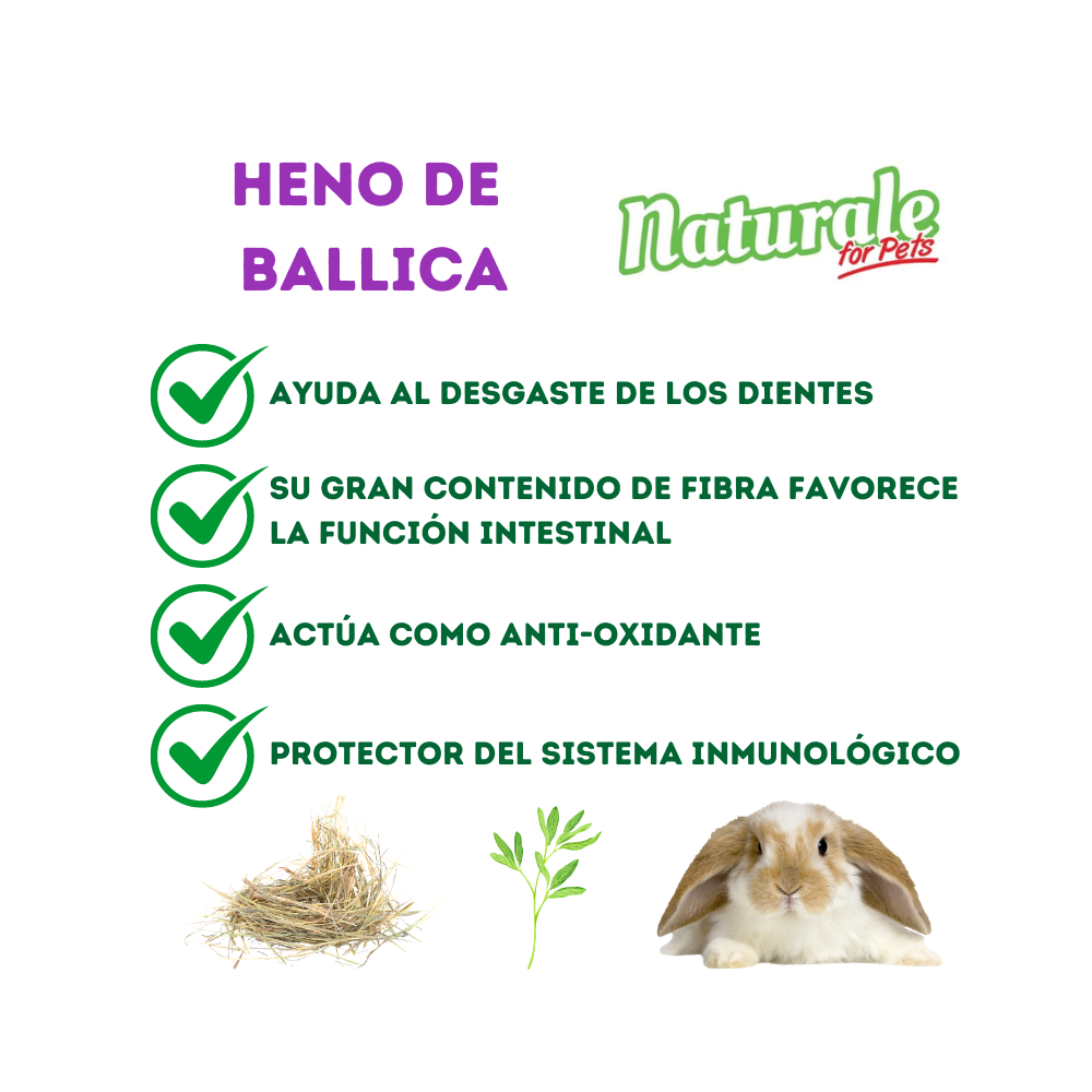 NFP Heno de Ballica Naturale 600g
