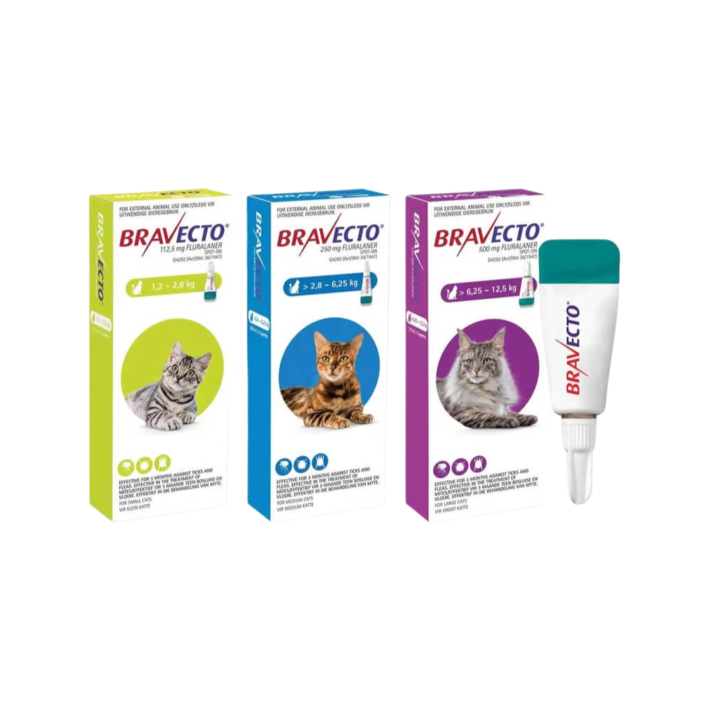 Bravecto Gatos 112,5mg 1,2-2,8kg