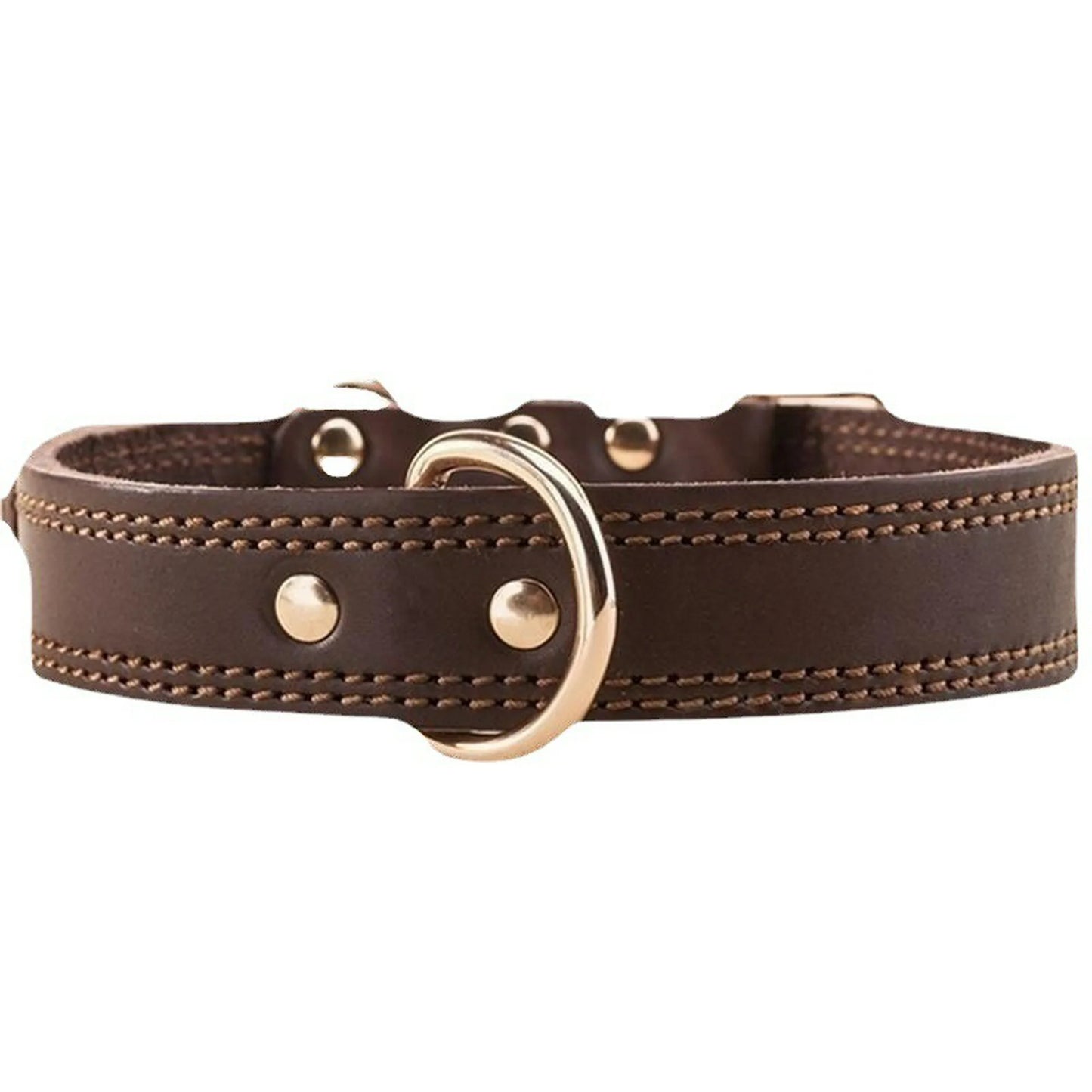 Collar Premium Eco Cuero Con Placa L 57CM
