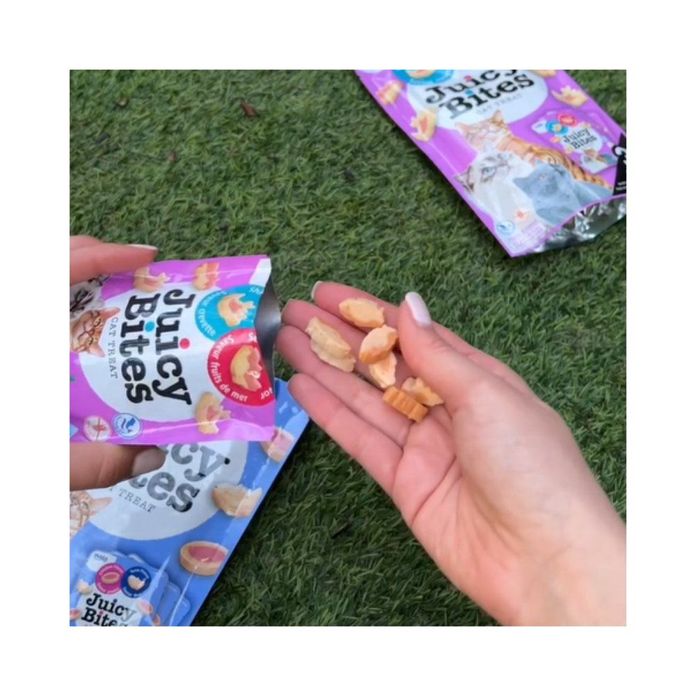 Churu Juicy Bites de camarón con mariscos 34g/11,3g x3 Sachets