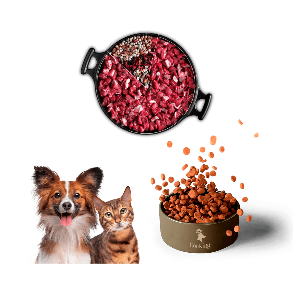 Alimento Para Gatos Cooking Adulto Salmon 2kg