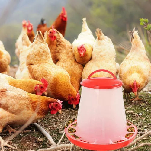 Comedero Para Gallinas o Aves de Granja o Pajareras 1,5kg