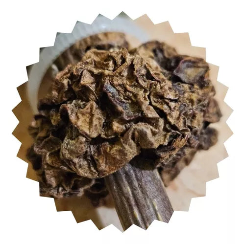 Bioline Snack Matatabi Catnip Paleta Lollipop
