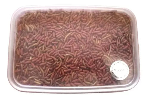 Tropifit Atelerix 1kg/3L