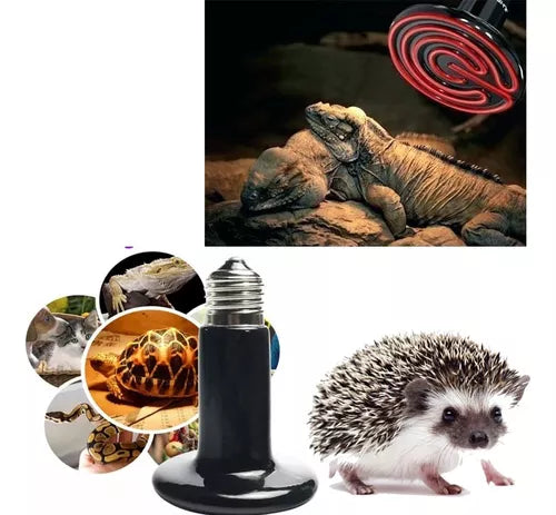 Ampolleta Ceramica 100w Nomoy