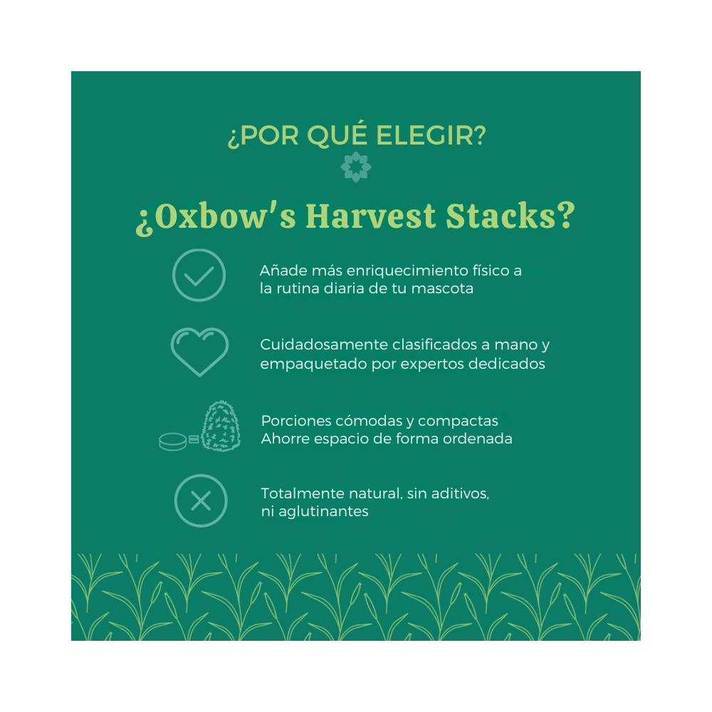 Heno Westerm Timothy Natural 992g Harvest Stacks Oxbow