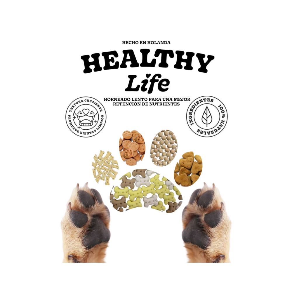 Galletas Para Perro Healthy Life Sabor Pavo y Cranberry 400g