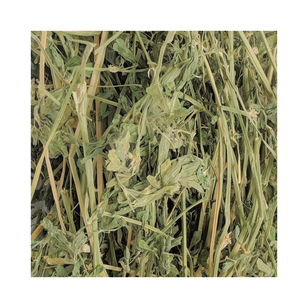 NFP Heno de Alfalfa Naturale 600g
