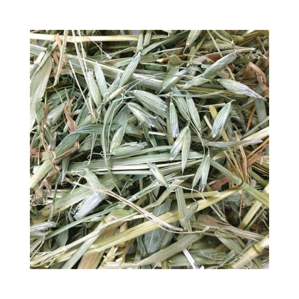 NFP Heno de Avena Naturale 600g