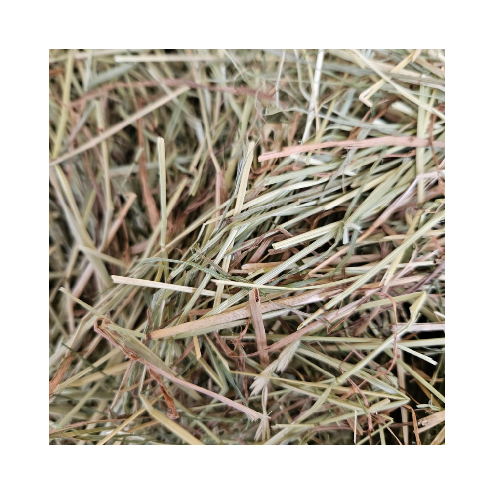 NFP Heno de Ballica Naturale 600g