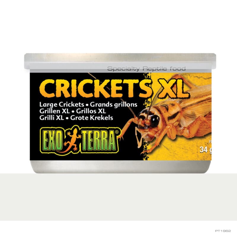 Exoterra Crickets, XLarge 34gr