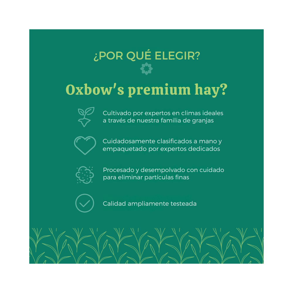 Heno de Pasto Timothy 4kg Oxbow
