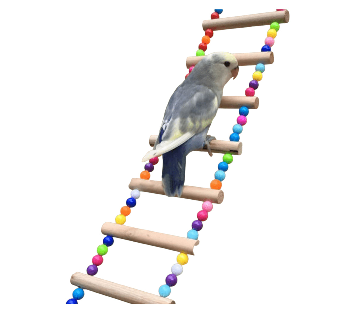 Escalera Para Hamster y Aves De 9 Niveles