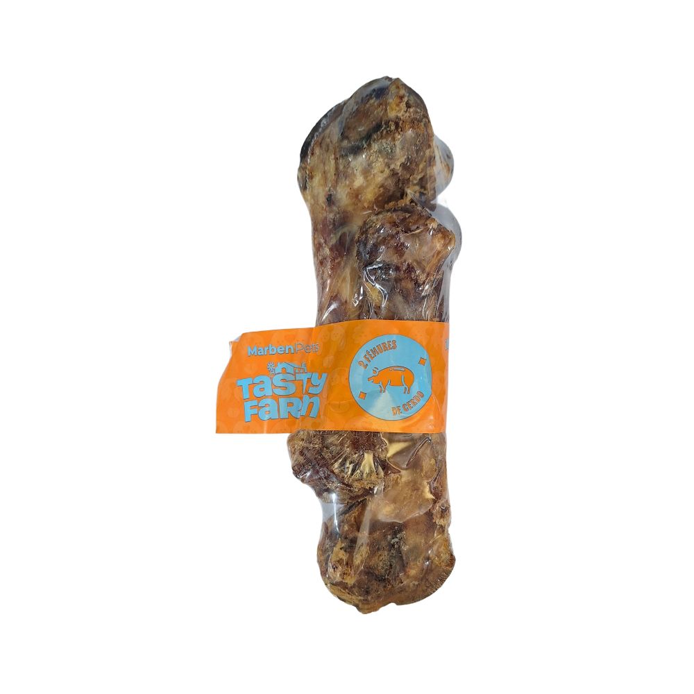 FEMUR-2
