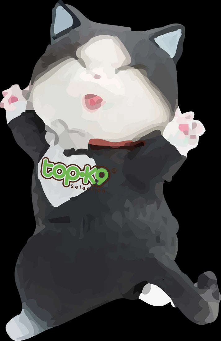 Arena Sanitaria Aglutinante TopK9 10kg con Iones de Plata Sakura