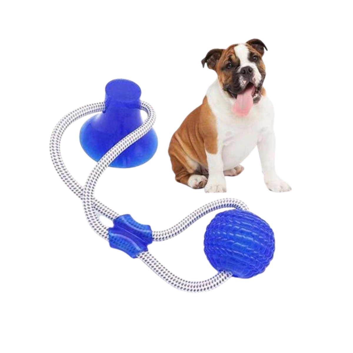 Juguete De Cuerda Con Ventosa 45cm Para Mascotas