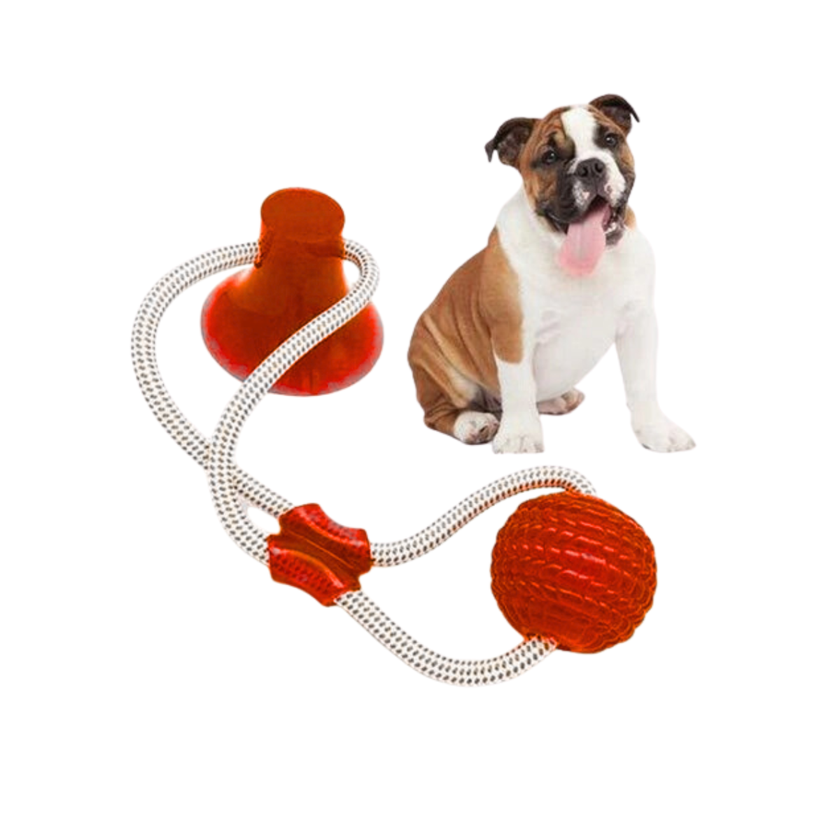 Juguete De Cuerda Con Ventosa 45cm Para Mascotas
