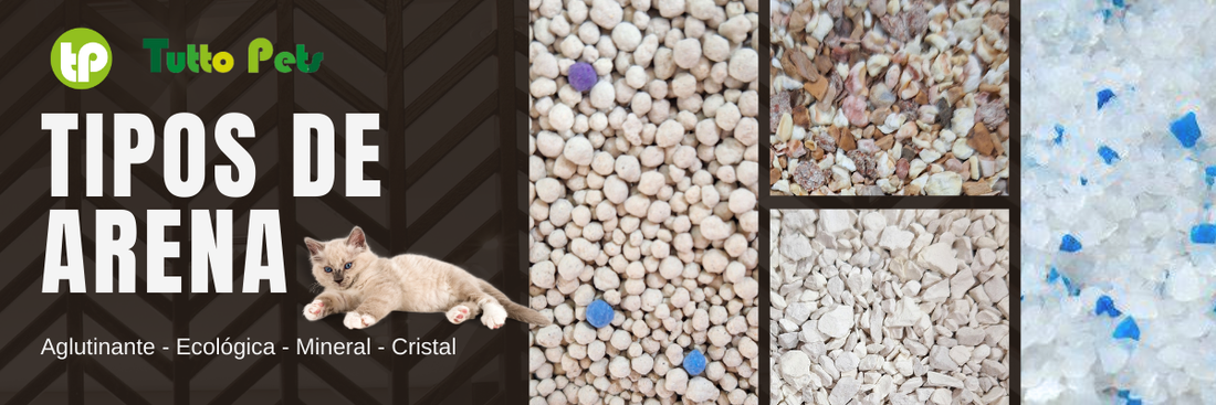 Tipos de arenas para gatos