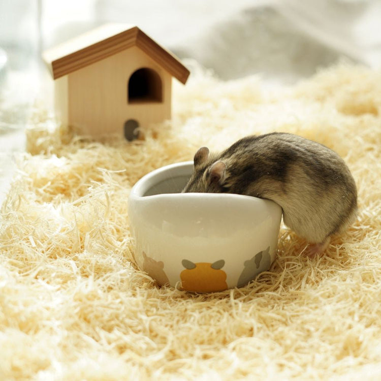 Jaulas para hámster