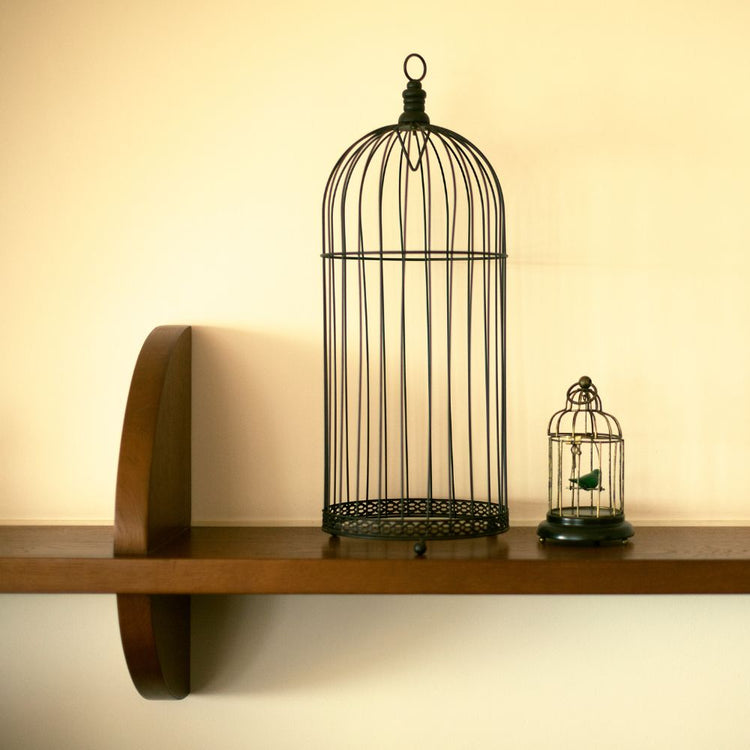 Jaulas para aves