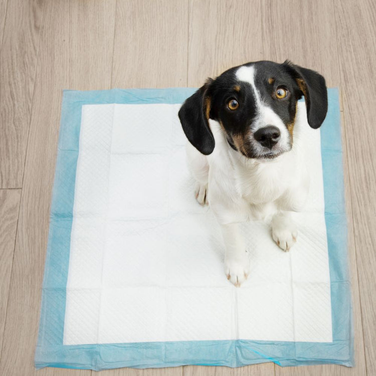 Sabanillas de entrenamiento