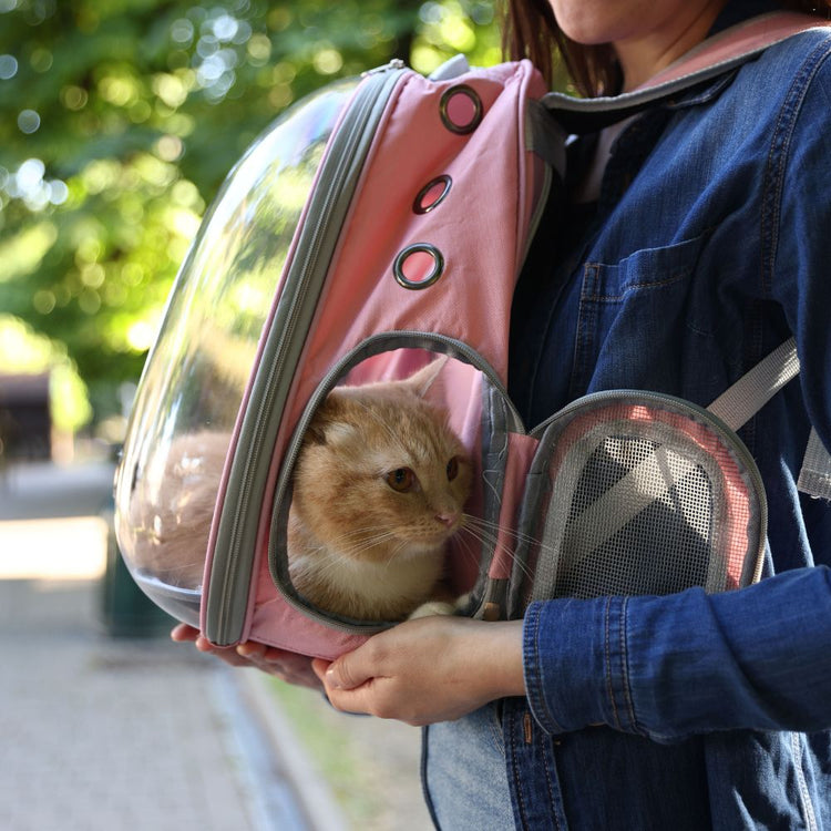 Transportadoras