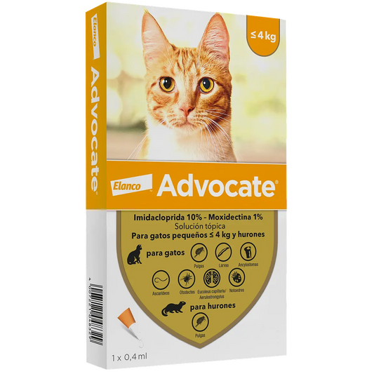 Advocate Gatos y Hurones hasta 4kg