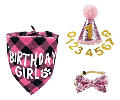 Set Decoración Disfraz Fiesta Cumpleaños Perros Cotillón