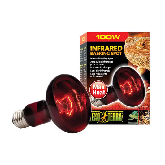 Exoterra Ampolleta Infrarroja 100 w