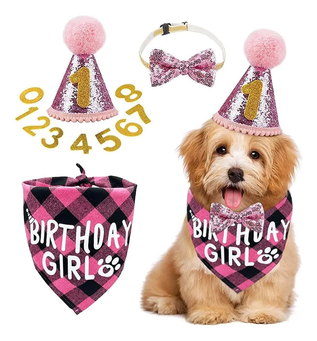 Set Decoración Disfraz Fiesta Cumpleaños Perros Cotillón