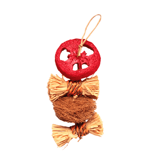 Juguete Colgante Loofah Rodaja 8"