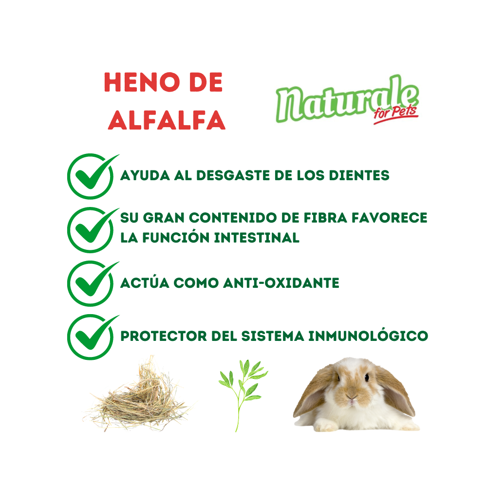 NFP Heno de Alfalfa Naturale Box 2,4kg