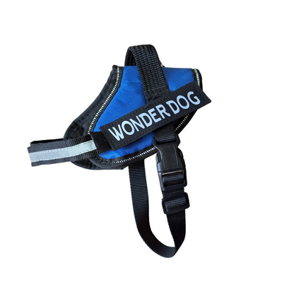 Arnes Wonder Dog XS