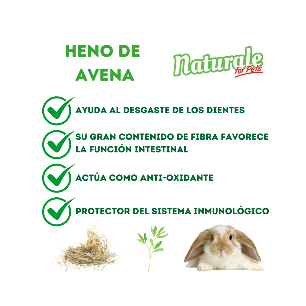 NFP Heno de Avena Naturale Box 2,4kg