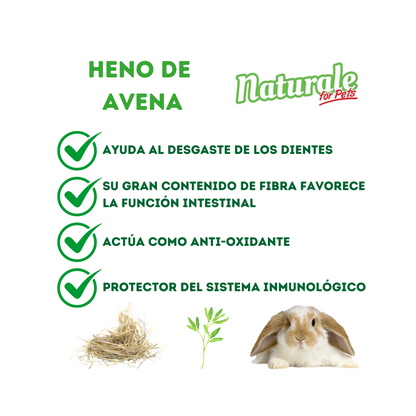 NFP Heno de Avena Naturale 600g