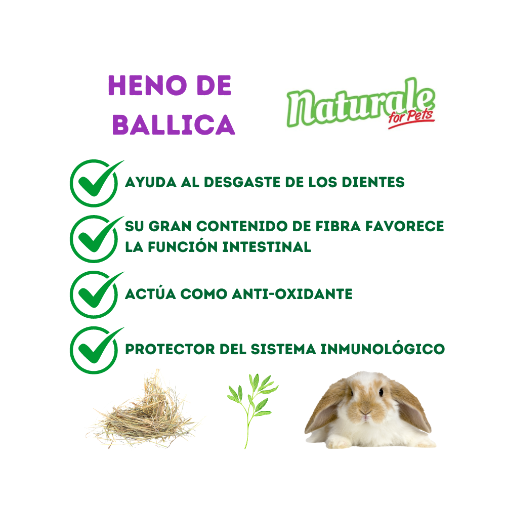 NFP Heno de Ballica con Topinambur Naturale 600g