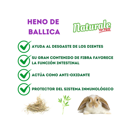 NFP Heno de Ballica Naturale 600g