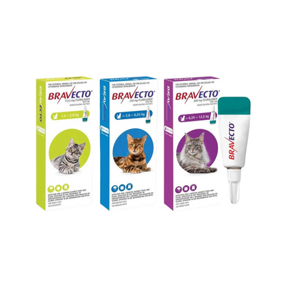 Bravecto Gatos 112,5mg 1,2-2,8kg