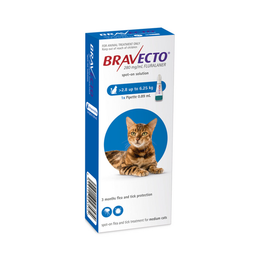 Bravecto Gatos 250mg 2,8-6,25kg