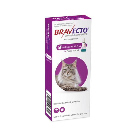 Bravecto Gatos 500mg 6,25-12,5kg