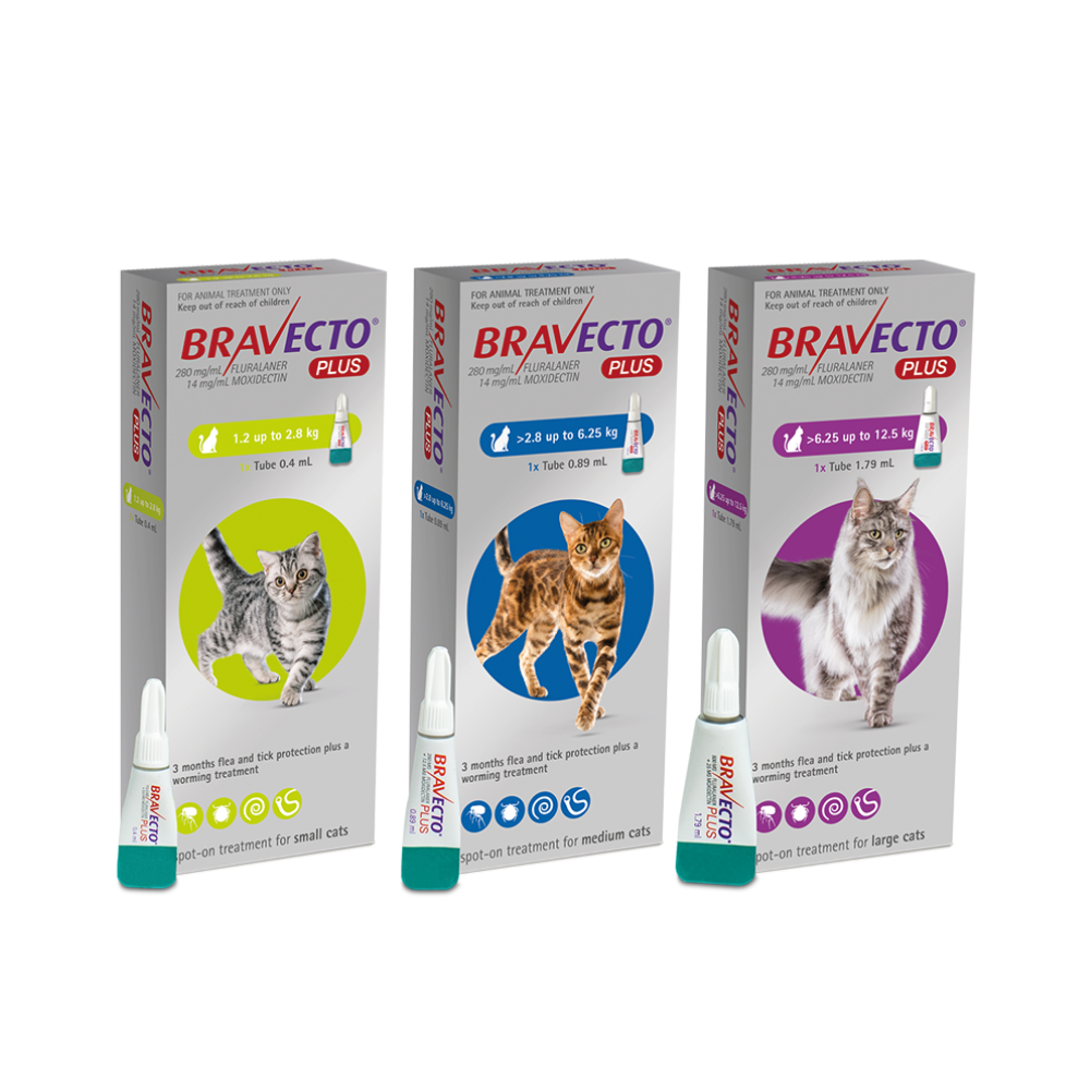 Bravecto Gatos Plus 112,5mg 1,2-2,8kg