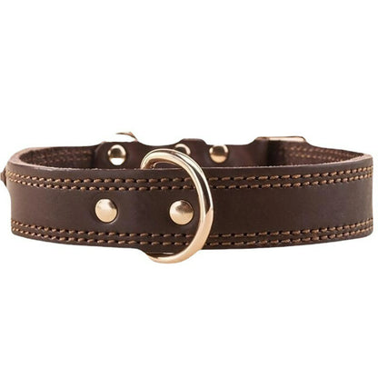 Collar Premium Eco Cuero Con Placa M 47CM