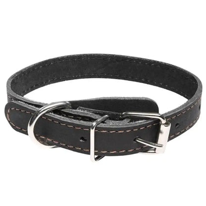 Collar Premium Eco Cuero Con Placa M 47CM