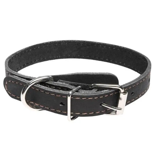 Collar Premium Eco Cuero Con Placa M 47CM