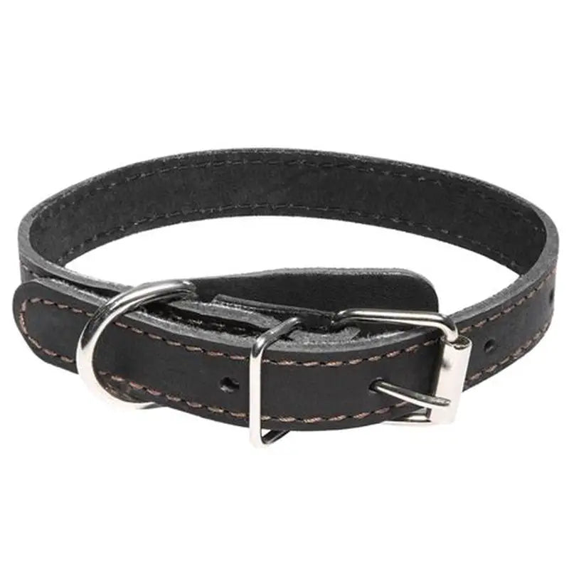 Collar Premium Eco Cuero Con Placa L 57CM